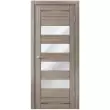 Межкомнатная дверь Экошпон DOMINIKA 106