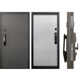 Входная дверь ПРОМЕТ Рона Смарт